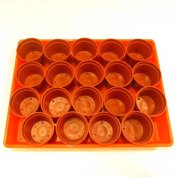 Do oranžovej, plastovej misky 40x30 cm, ktorá je tiež v ponuke vojde 19 ks kvetináčov s priemerom 7,5 cm